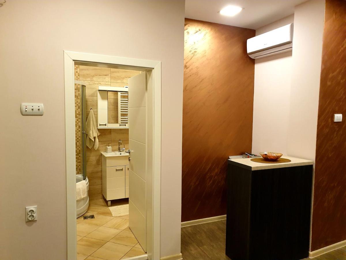 Ceca Apartman Ниш Екстер'єр фото